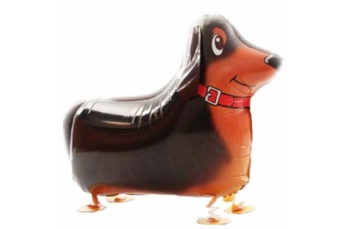 Air Walking Sausage Dog Balloon